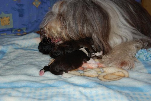 Ich habe alles im Blick