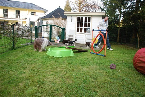 Lulu Welpen Samstag 003_an.jpg